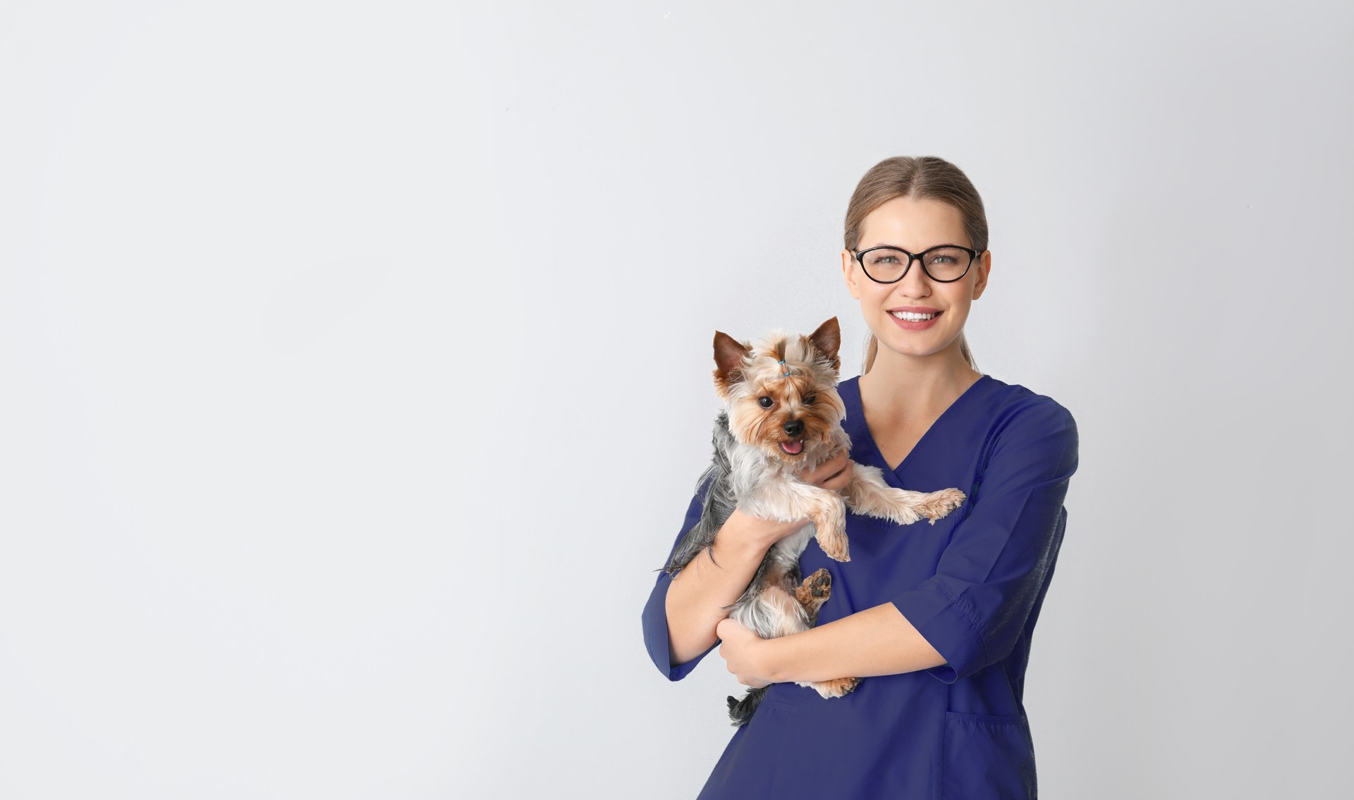 Boka tid hos en bra veterinär i Laholm